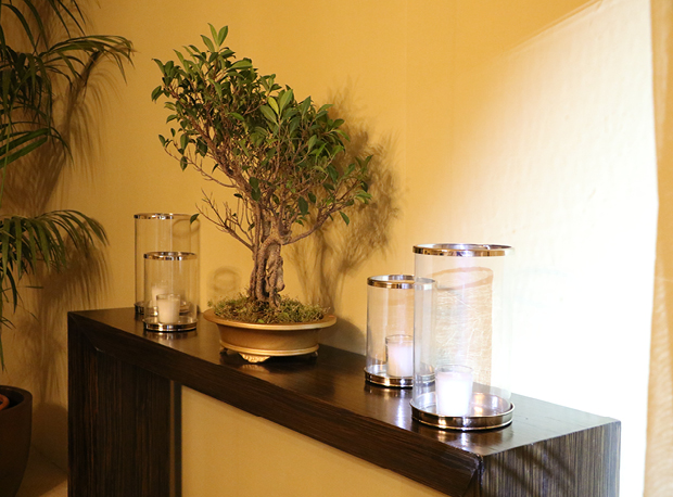 Location Matériel Fête