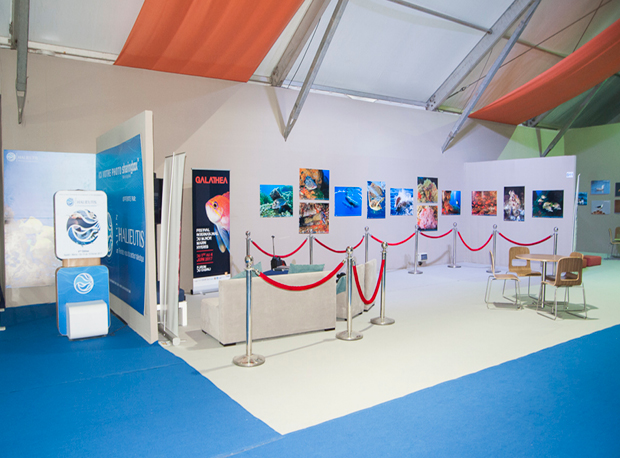 Location Mobilier Événementiel