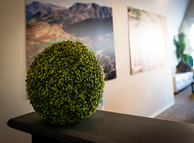 Décoration Événementielle