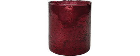 Photophores Photophore Prune