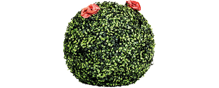 Location Matériel Décoration Boule De Buis