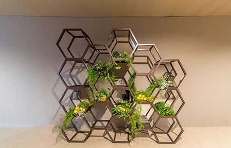 Location Matériel pour Évènement Structure Ruche