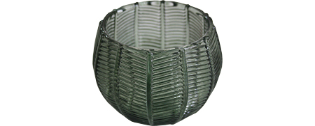 Photophores Photophore Camelia