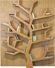 Location Matériel pour Évènement Bibliothèque arbre