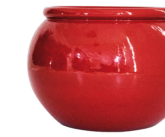 Plantes et Cache-pots location materiel événementiel